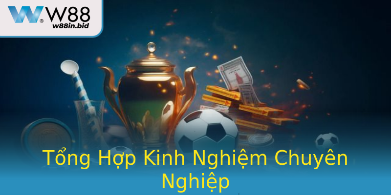 Tổng Hợp Kinh Nghiệm Chuyên Nghiệp