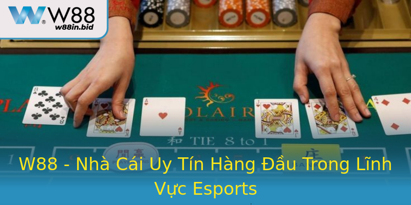 W88 - Nhà Cái Uy Tín Hàng Đầu Trong Lĩnh Vực Esports